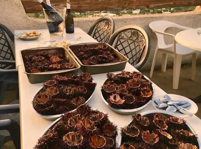 Relais International De La Jeunesse * Calvi (Corsica)