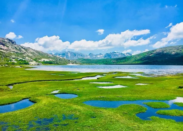 Relais International De La Jeunesse Hostel Calvi (Corsica)