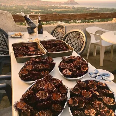 Relais International De La Jeunesse * Calvi (Corsica)