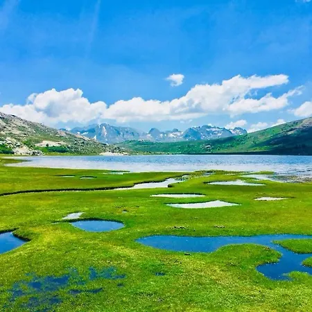 Relais International De La Jeunesse Vandrerhjem Calvi (Corsica)